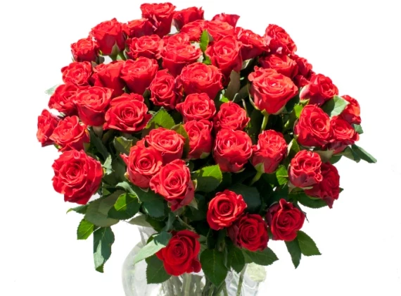 Bouquet of Roses - Credit- iStock - 178640070 Bouquet of Roses