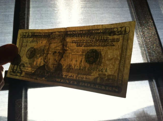 $20 in light $20 in Light