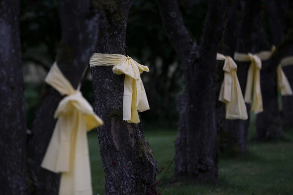 Yellow Ribbons Yellow Ribbons