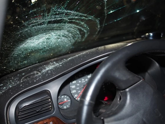 Sheriff-Windshield Sheriff-Windshield
