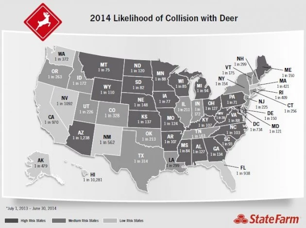 Deer Collision Deer Collision Map