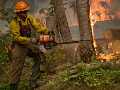 USFS
