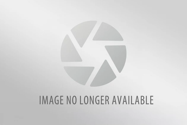 download Entwicklung