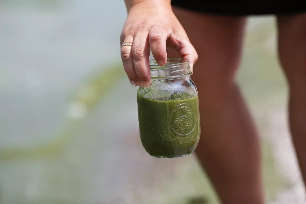 Rocky Mountain College Professor Replicates Algae Lost in Rocket Launch