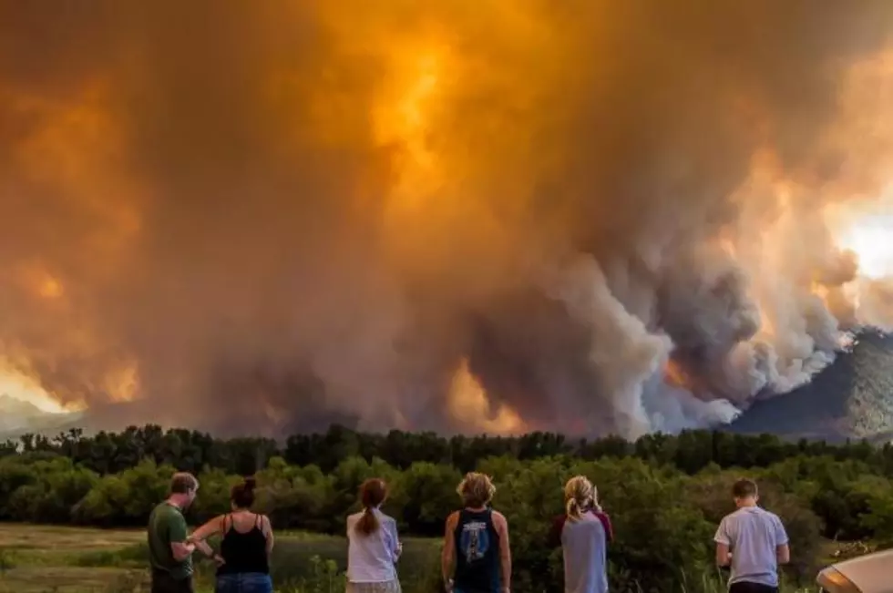 DNRC Says Start Preparing Defensible Space For Wildfire Season