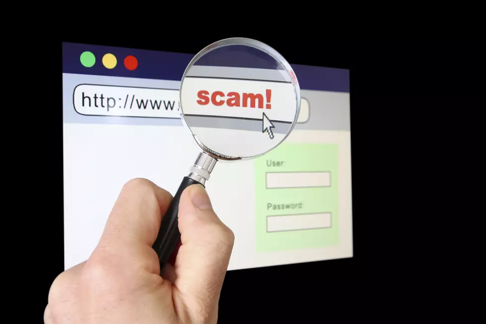 Montana BBB and AG Team Up To Remove Scamming Vehicle Distribution Websites