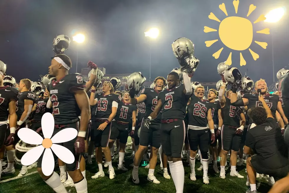 More Montana Grizzly Football Already? Sign Us Up!