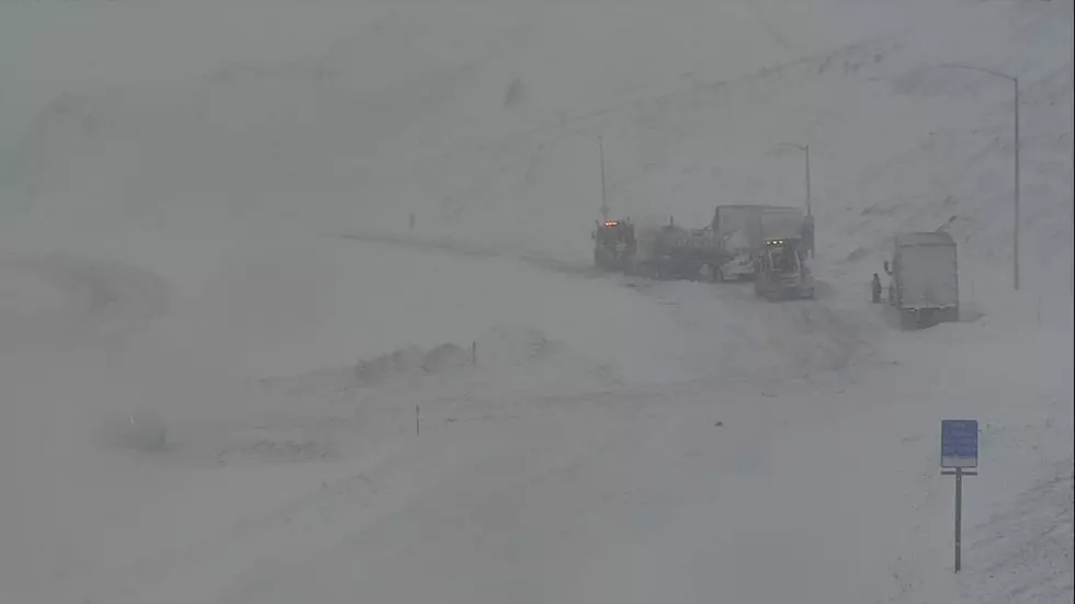 Snow then 80? Sure, Because It’s May in Montana