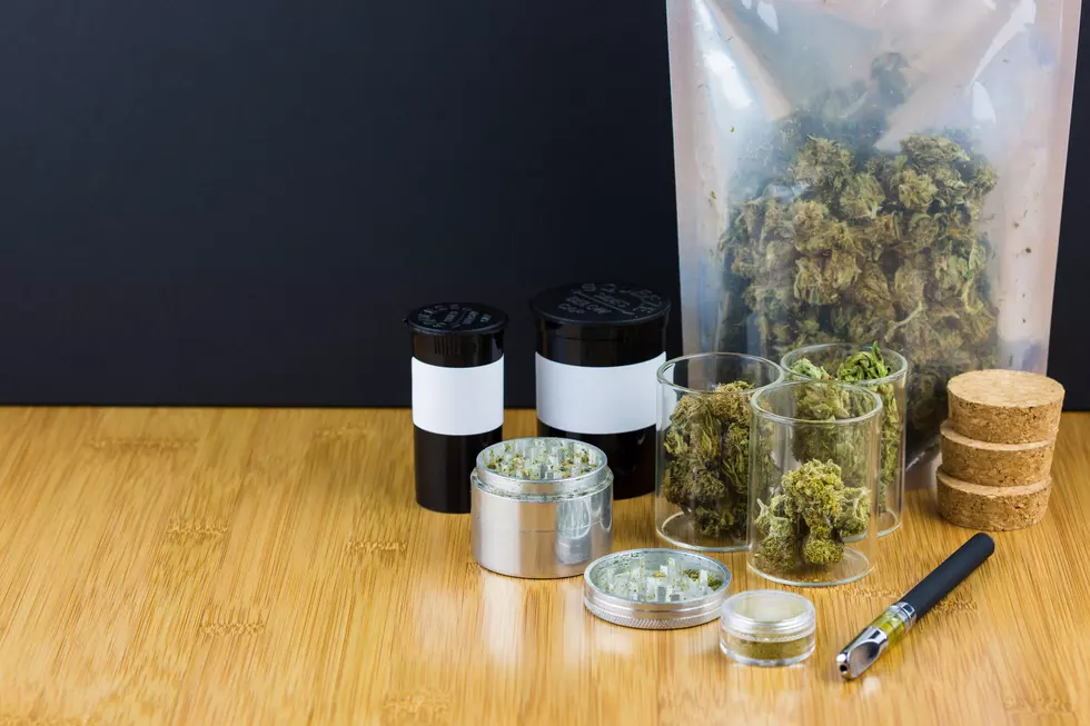 Cannabis Policy Expert Will Visit Missoula to Discuss Prevention