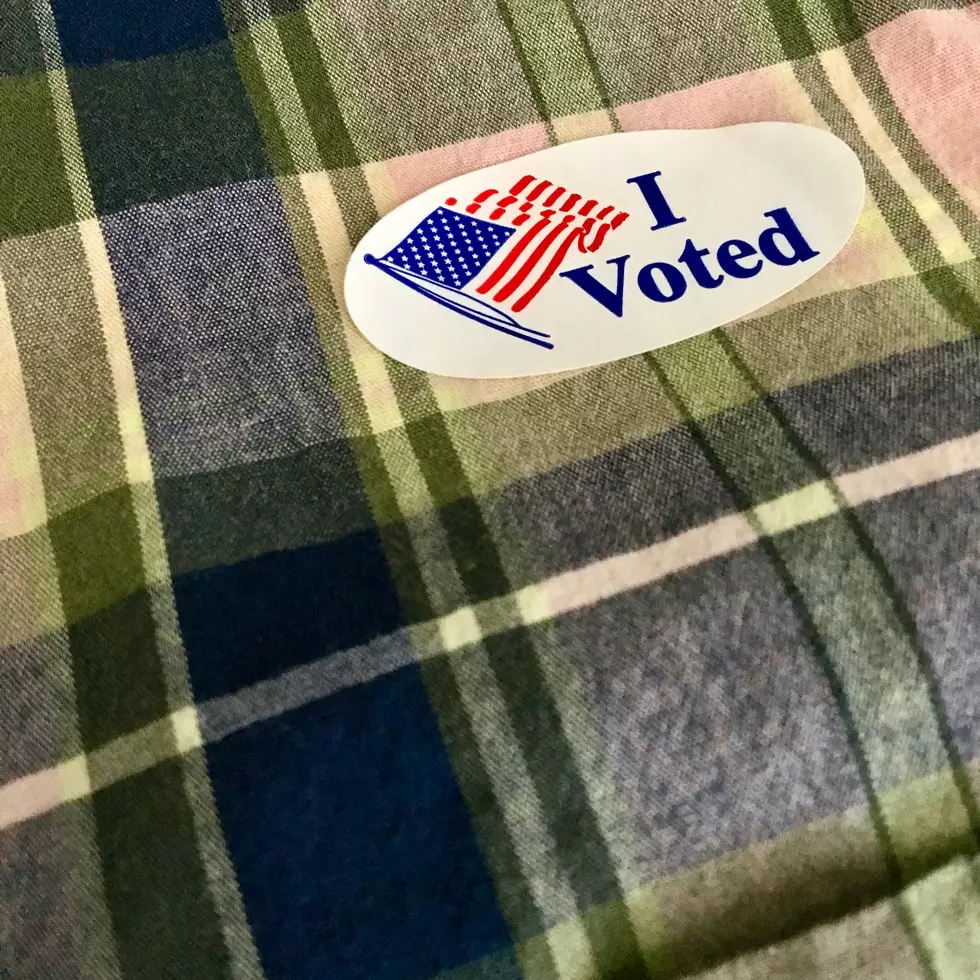 Montana Sees Red as GOP Sweeps 2024