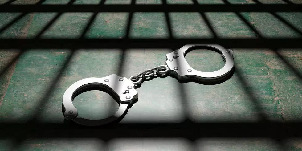 Missoula Couple Charged With Severely Injuring a Puppy