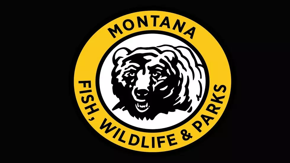 New Montana FWP Director Promises to Support Employees