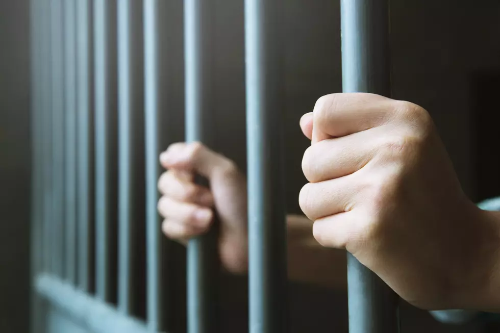 Missoula Crime Report: Child Abuse and Local Fraud Cases