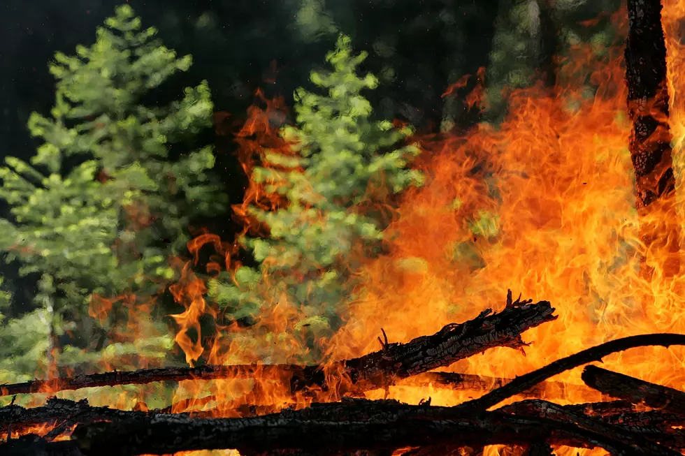 How to Safeguard Your Home From Montana Wildfires
