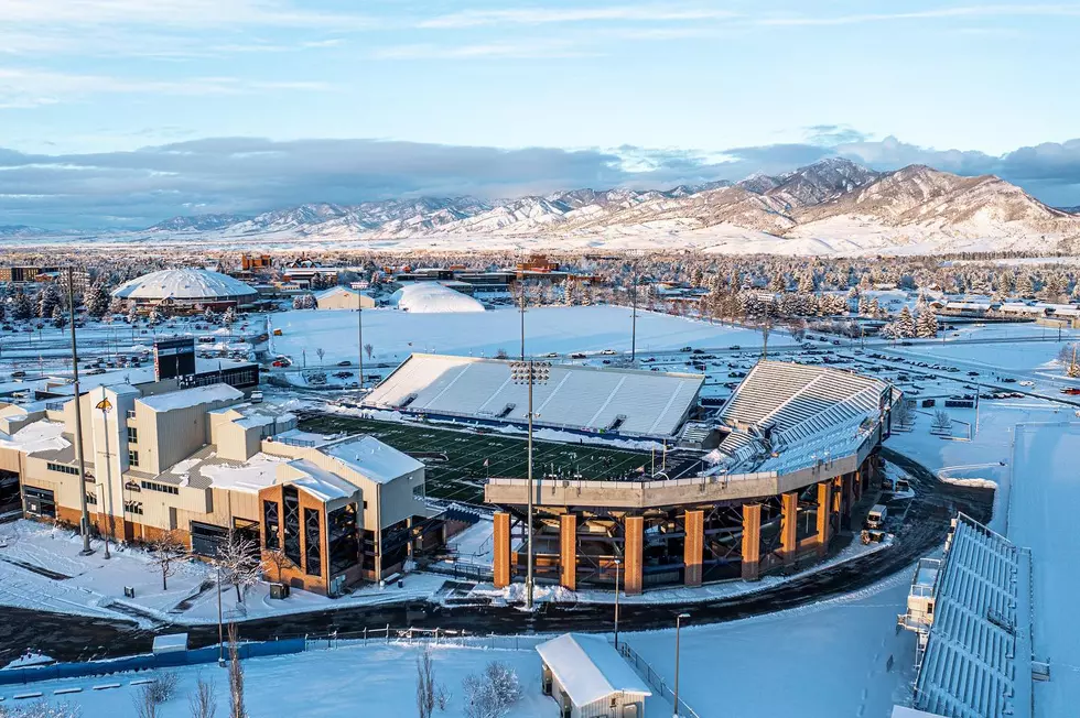 Why A Championship For The Cats, Would Be Good For The Griz